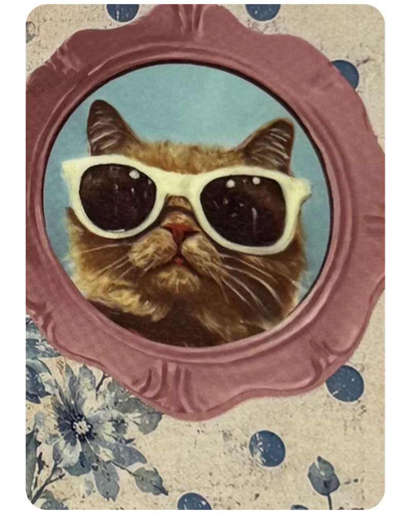Cool Cat magnetic bookmark