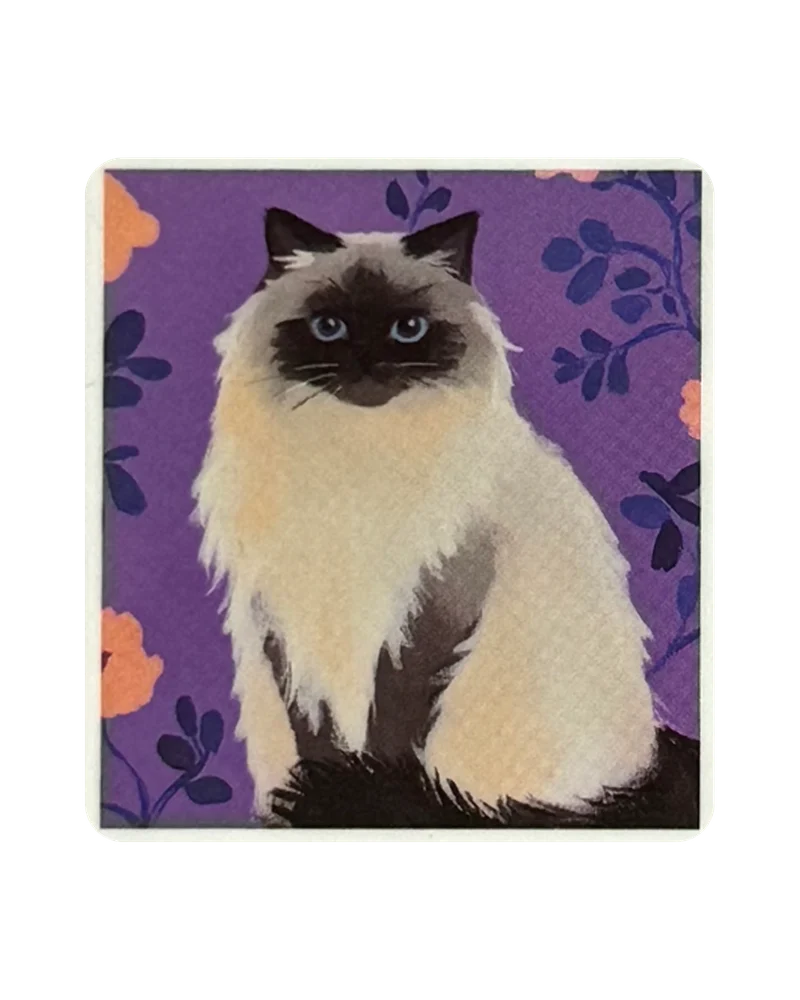 Himalayan magnetic bookmark