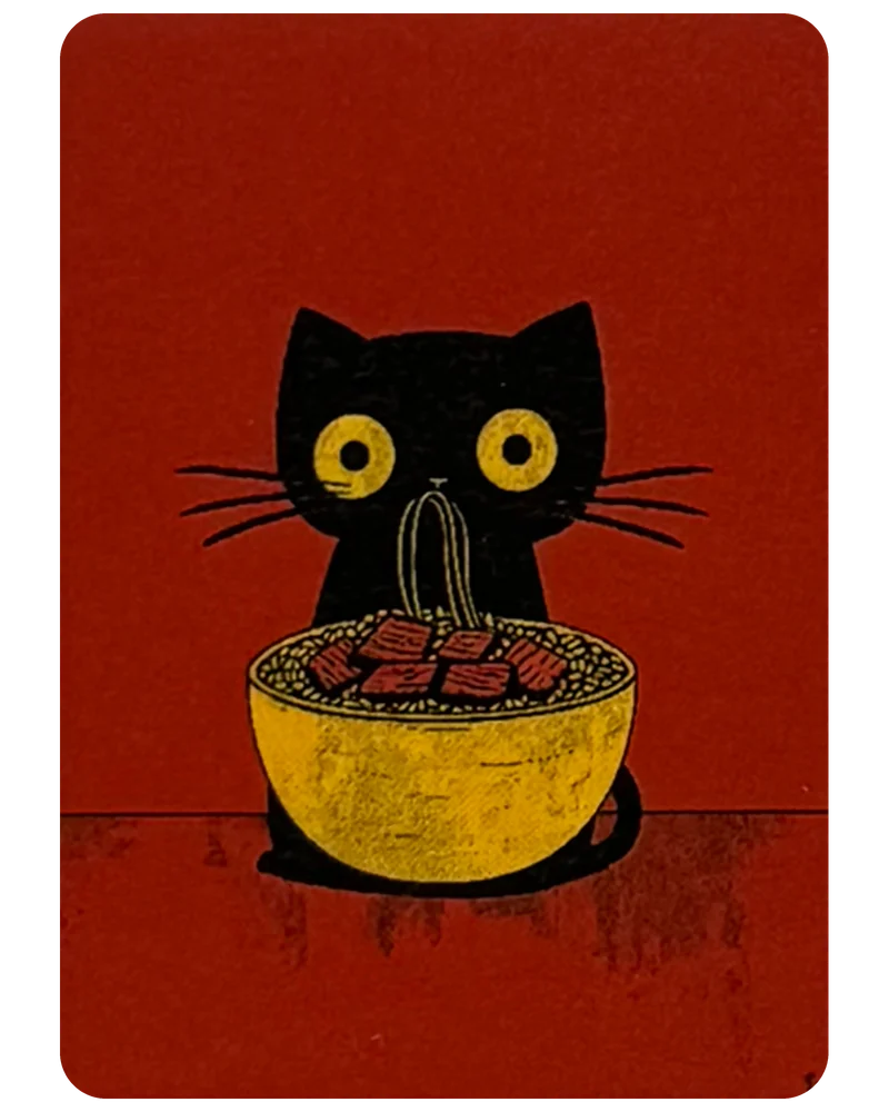 Noodle Cat magnetic bookmark
