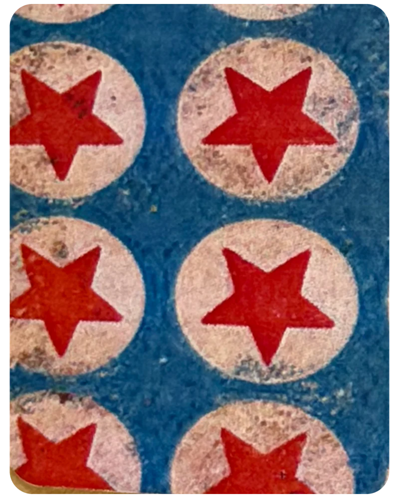 Rodeo Stars magnetic bookmark